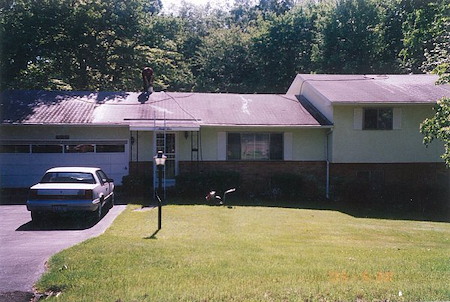 How Moss and Algae Can Shorten the Life of Your Roof