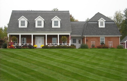 The Benefits of Roof Moss and Algae Removal in Columbus